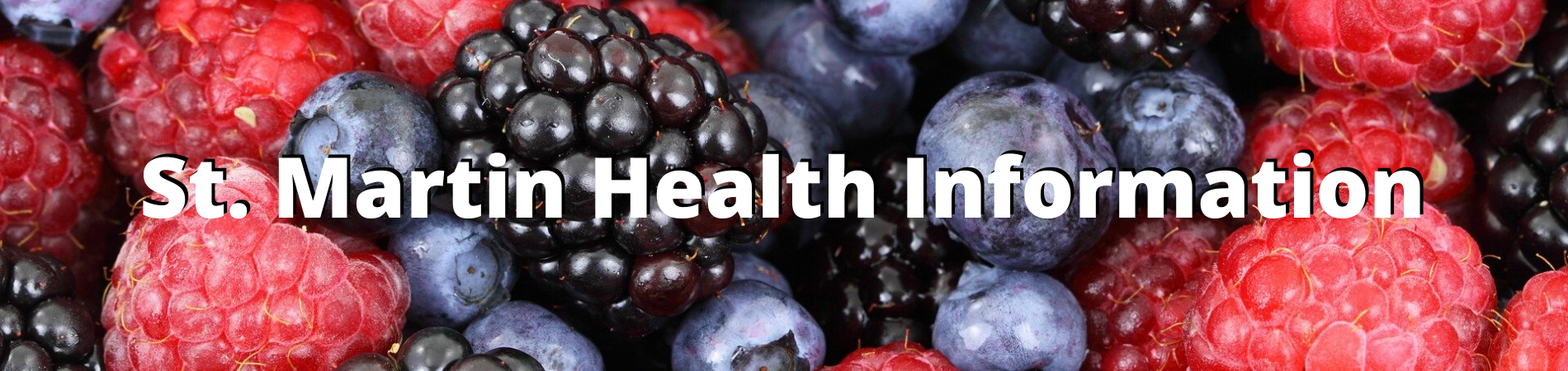 St Martin Health Information with berries in the background